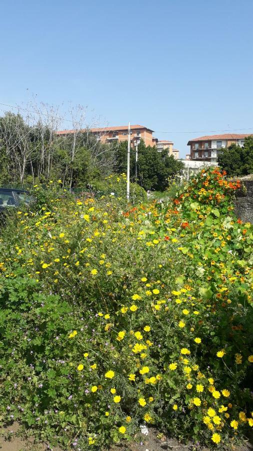 Villa Carrubo - Giardino In Citta CTA Exterior foto